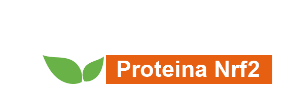 Genoxidil Proteína Nrf2
